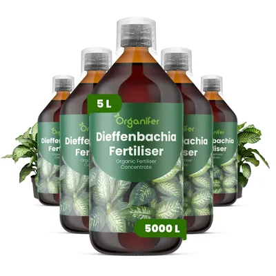 Obrázok produktu pre Dieffenbachia, tekuté hnojivo, 5 x 1 liter – vzťah živín NPK: 3-4-3 – pre izbové rastliny – pre zdravé listy a bohaté farby – podporuje rast koreňov a vitalitu – organické