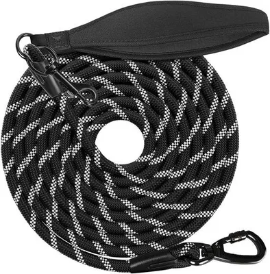 Produktbild von Hundeleine 10 m, reflektierend - Gepolsterter Griff, 2 Karabinerhaken, lange Trainingsleine, robustes, geflochtenes Nylon für kleine bis große Hunde, für erhöhte Sicherheit