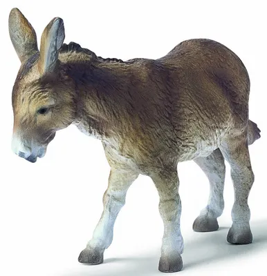 Obrázek produktu pro Schleich 13212 Osel