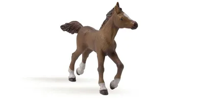 Immagine prodotto di Papo Cavalli Cavallo Anglo Arabo Puledro 51076