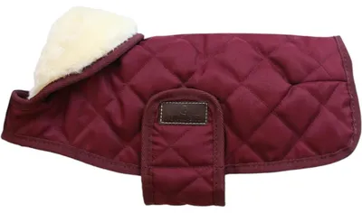 Produktbild von Kentucky Dogwear Hundemantel 160g