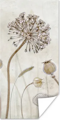 Produktbild von MuchoWow® Poster Blumen - Aquarell - Stilleben - Braun - Vintage 60x120 cm - Wandschmuck