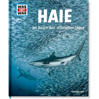 Produktbild von Haie. Im Reich der schnellen Jäger