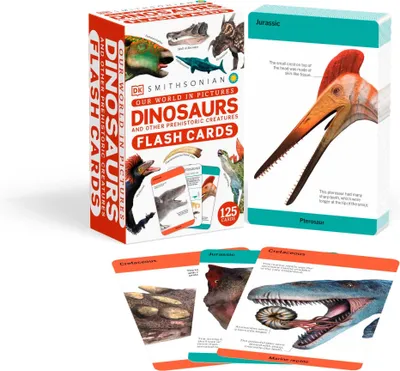 Produktbild von Our World in Pictures Dinosaurs and Other Prehistoric Creatures Flash Cards