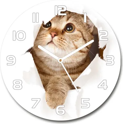 Produktbild von Wanduhr aus Glas 30fi Glasbild Glasuhr Gehärtetes Glas - weisse-zeiger - Cat