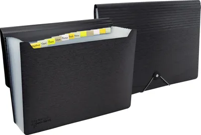 Image de RAPESCO® 1638 Fardes à compartiments Germ-Savvy 13 compartiments noir