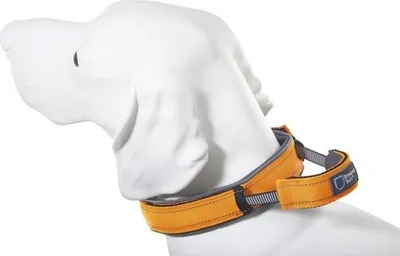 Immagine prodotto di Dog Control Halsband L orange