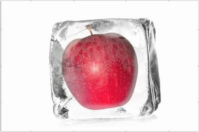 Produktbild von Wallario Wandbild Roter Apfel in Eiswürfel - Eiskaltes Obst, Größe: 61 x 91,5 cm, Poster mit rahmenlosen Bildhalter