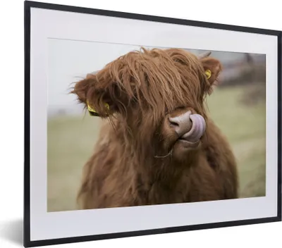 Produktbild von MuchoWow® MuchoWow® Gerahmtes Poster Schottisches Hochlandrind - Nahaufnahme 40x30 cm - Poster mit zchwarzem Bilderrahmen - Bilderrahmen - Poster im Rahmen