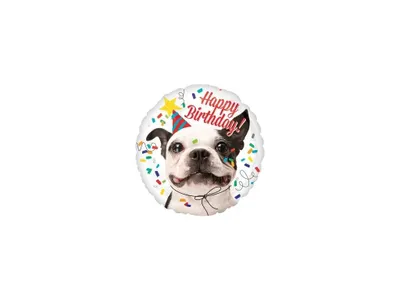 Immagine prodotto di Amscan Buon Compleanno Hund, Cane Felice, Geburtstag, Festa, 43 cm