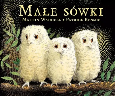 Immagine prodotto di ISBN Małe sówki, Polski, Twarda okładka, 32 stron(y)