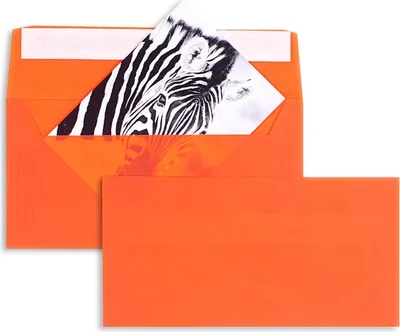 Produktbild von Farbige Transparente Briefumschläge - Orange (Transparent-Intensivorange)110 x 220 mm (DIN Lang) | 100 g/qm Offset | Ohne Fenster | Haftklebung | Gerade Klappe | 100 Stück