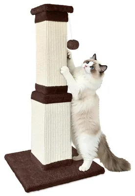 Immagine prodotto di Albero per gatti, altezza 81,3 cm, rivestito in sisal, colore marrone