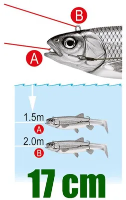 Produktbild von Cormoran PLOWMAN SHAD Gummiköder 23cm Firetiger Raubfisch