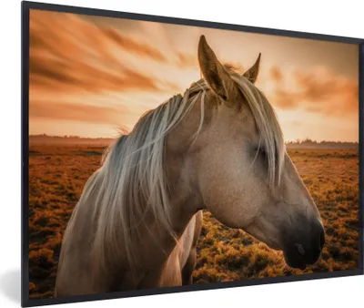 Produktbild von MuchoWow® Gerahmtes Poster Pferd - Tiere - Porträt 90x60 cm - Poster mit Schwarzem Bilderrahmen Wandposter Rahmen Foto Bilder - Fotorahmen - Foto-Plakat