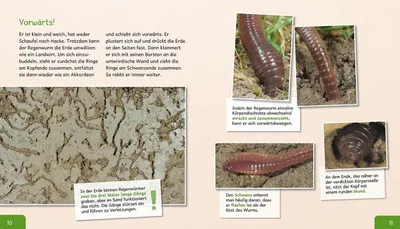 Obrázek produktu pro Meine große Tierbibliothek: Der Regenwurm