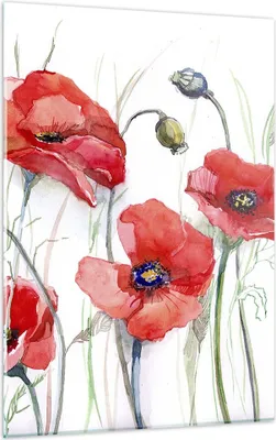 Produktbild von Bilder auf glas - Einteilig - Blume Mohn Wiese - 50x70cm - Glasbilder - Wandbilder - Bilder - zum Aufhängen bereit - Wanddekoration aus Glas - Glas Bilder - Wandbild auf Glas - GPA50x70-3584