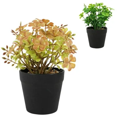 Produktbild von Künstliche Kleepflanze im Topf 18 cm 2 sortiert