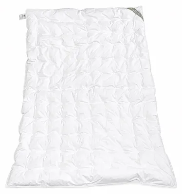 Produktbild von Betten Hofmann Franken Sommer Daunendecke Punktstepp 155x220 cm 100% Gänsedaunen