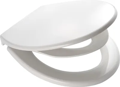 Produktbild von Ridder WC-Sitz Generation mit Soft-Close  weiß 02119101