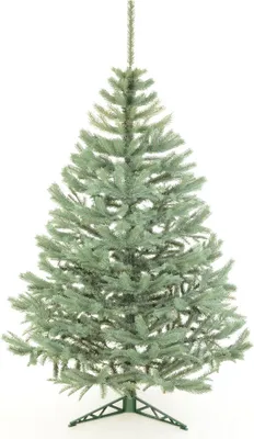 Zdjęcie produktu dla nabbi Choinka Christee 18 180 cm - zielona