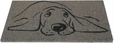 Produktbild von Bestlivings Fußmatte Kokos Schuhabtreter Frontmatte 25x50cm ( Hund )