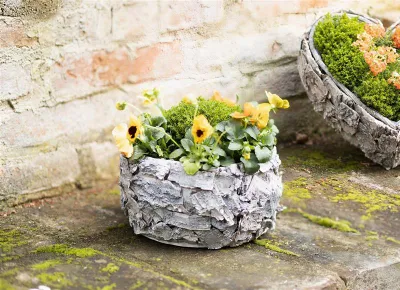 Image de Planteur en bois & écorce de bouleau, rustique, rond, jardinière, pot de fleurs, décoration de jardin pour l'extérieur