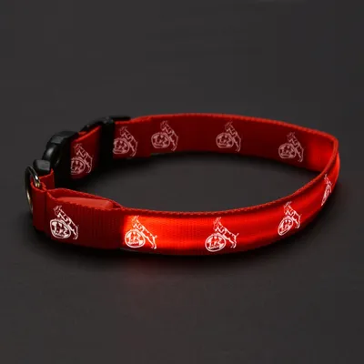 Produktbild von LED Hundehalsband Gr. L 1. FC Köln
