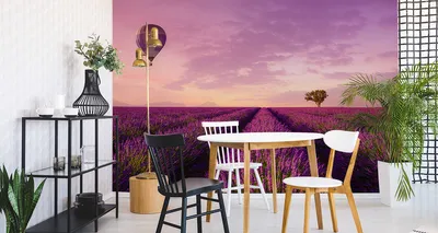 Zdjęcie produktu dla Fototapeta Abstrakcyjne Pole Lawendy Balon Krajobraz do Salonu z Efektem 3D  405x270cm