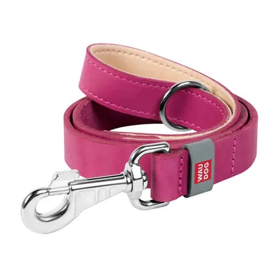 Produktbild von Waudog Naturleder Hundeleine W 20 Mm, L 122 Cm Rosa