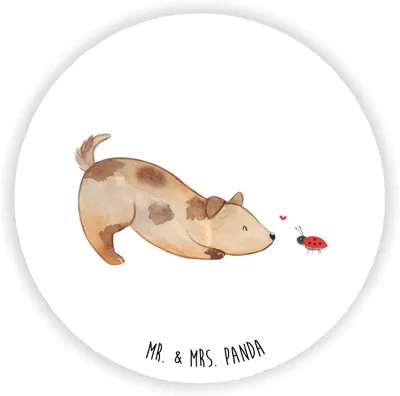 Produktbild von Mr. & Mrs. Panda magnet Hund Marienkäfer - Weiß - Geschenk, Notizhalter, für kühlschrank, Kühlschrankmagnet, Mischlinghund, Neugierig, Sprüche, fotos, Hunde, pinnwand
