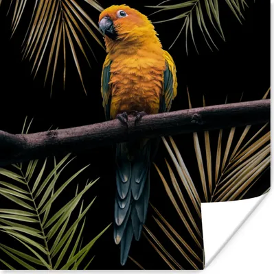 Produktbild von MuchoWow® Poster Vogel - Papagei - Zweig - Blätter 75x75 cm - Wand Dekoration