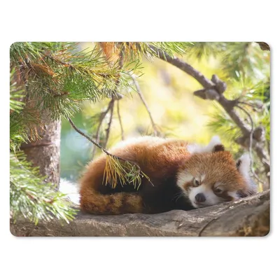 Produktbild von MuchoWow® Mauspad Mousepad Panda - Holz - Pflanzen 23x19 cm - Mousepads - Maus Mat - Pad - Mausunterlage - Schreibtischunterlage - Mauspad