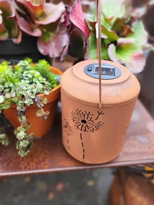 Produktbild von Edelrost LED Solarlaterne Pusteblume, Schmetterling