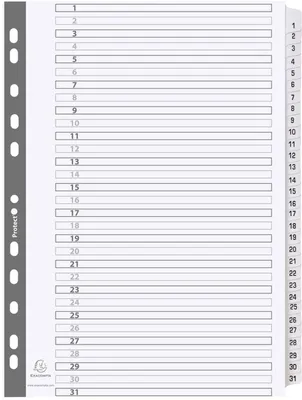 Produktbild von EXACOMPTA Karton-Register 1-31 DIN A4 weiß 31-teilig