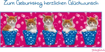 Produktbild von Geburtstag – Glückwunschkarte im Format 11,5 cm x 22 cm mit