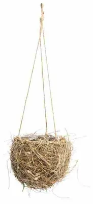Produktbild von nature trends Heu-Pflanzampel Ø 15 cm mit Folieneinsatz