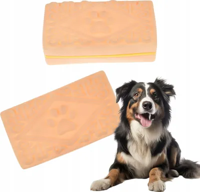 Produktbild von COOKIE CAKE Hundespielzeug Quietschsüßes für Ihren Vierbeiner