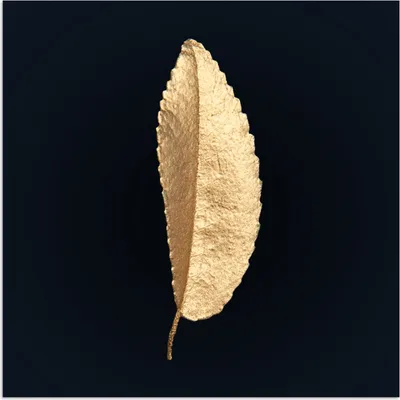 Produktbild von MuchoWow® Poster Blätter - Schwarz und Gold - Luxus - Chic - Natur 75x75 cm - Wand Dekoration