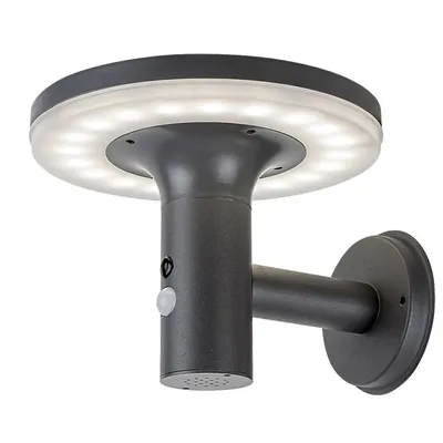 A solar-powered wall light with a circular LED light ring and a motion sensor.