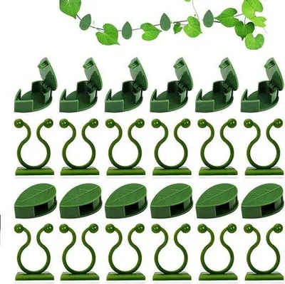 Produktbild von Pflanzklammern für Kletterpflanzen - 60 Stück