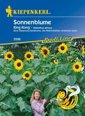 Produktbild von Sonnenblume King Kong | Sonnenblumensamen von Kiepenkerl