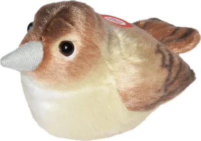 Image de Oiseaux avec son Rossignols - NACHTIGALL