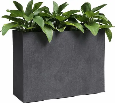 Image de Jardinière - Plastique - Anthracite - 80 cm - 50 l - Sydney - ARTEVASI