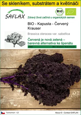 Obrázek produktu pro SAFLAX Kultivační sada - BIO - Kapusta - Červený Krauser - Brassica oleracea var. sabellica - 50 Semena - S mini skleníkem, pěstebním substrátem a 2 květináči