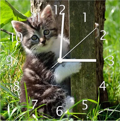 Produktbild von Wallario Design Wanduhr Süßes Kätzchen an einem Baum aus Echtglas, Größe 30 x 30 cm