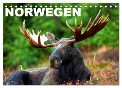 Produktbild von Norwegen (Tischkalender 2027 DIN A5 quer), CALVENDO Monatskalender