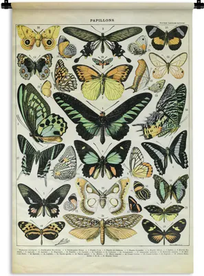 Produktbild von MuchoWow® Wandteppich Wandbehang Tiere - Schmetterlinge - Grün 90x135 cm Tapisserie Dekoration Wandtuch - Baumwolle - Wandskulptur
