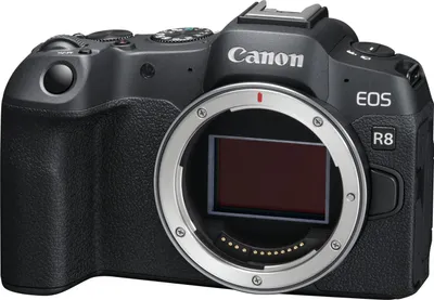 Image de CANON EOS R8 nu