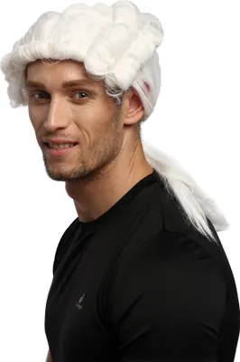Produktbild von WIG ME UP Perücke Barock Weiß Zopf Richter Edelmann 0061-P60
